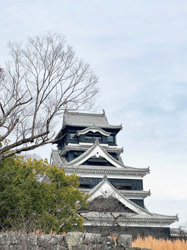 九州阿蘇  忘憂之旅